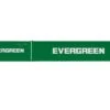 Hornby R60042 Evergreen, Container Pack, 1 X 20’ And 1 X 40’ Containers – Era 11 -Model Train Store R60042 1 Evergreen Containers