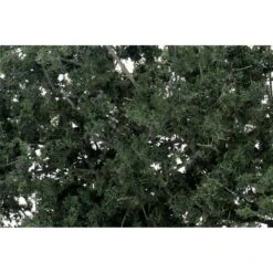 Woodland Scenics WF1130 Dark Green Fine Leaf Foliage